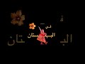 إميليا التي خطفت قلوب الجميع بصوتها     