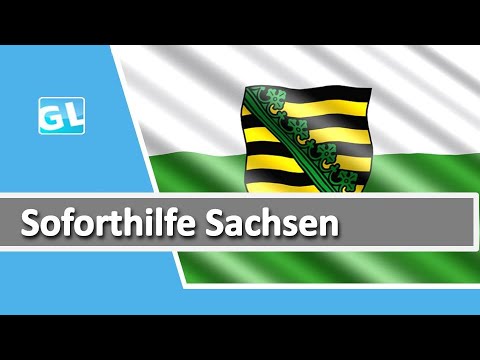 Formular für Soforthilfe in Sachsen ausfüllen #Coronahilfe