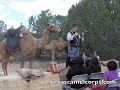 Living history programs with Texas Camel Corps