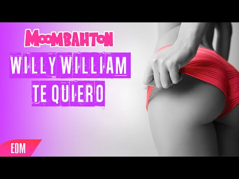 Willy William - Te Quiero (Moombahton Edit)