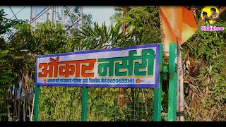 Omkar Nursery visit - Valuj Aurangabad - Cheapest nursery