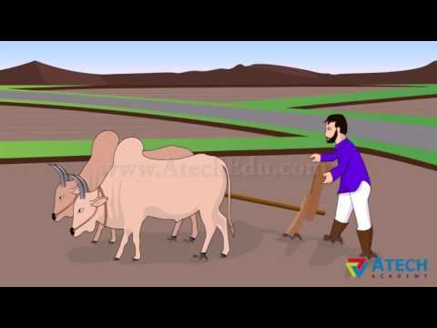 class-viii-science-crop-production-and-mangement---agriculture