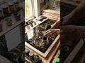🖤✨ Black &amp; Gold Luxury Resin Table – Pure Satisfying Transformation!