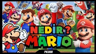 Mantar Bağımlısı ve Bıyıklı İtalyan Mario  Super Mario Kardeşler NEDİR ?