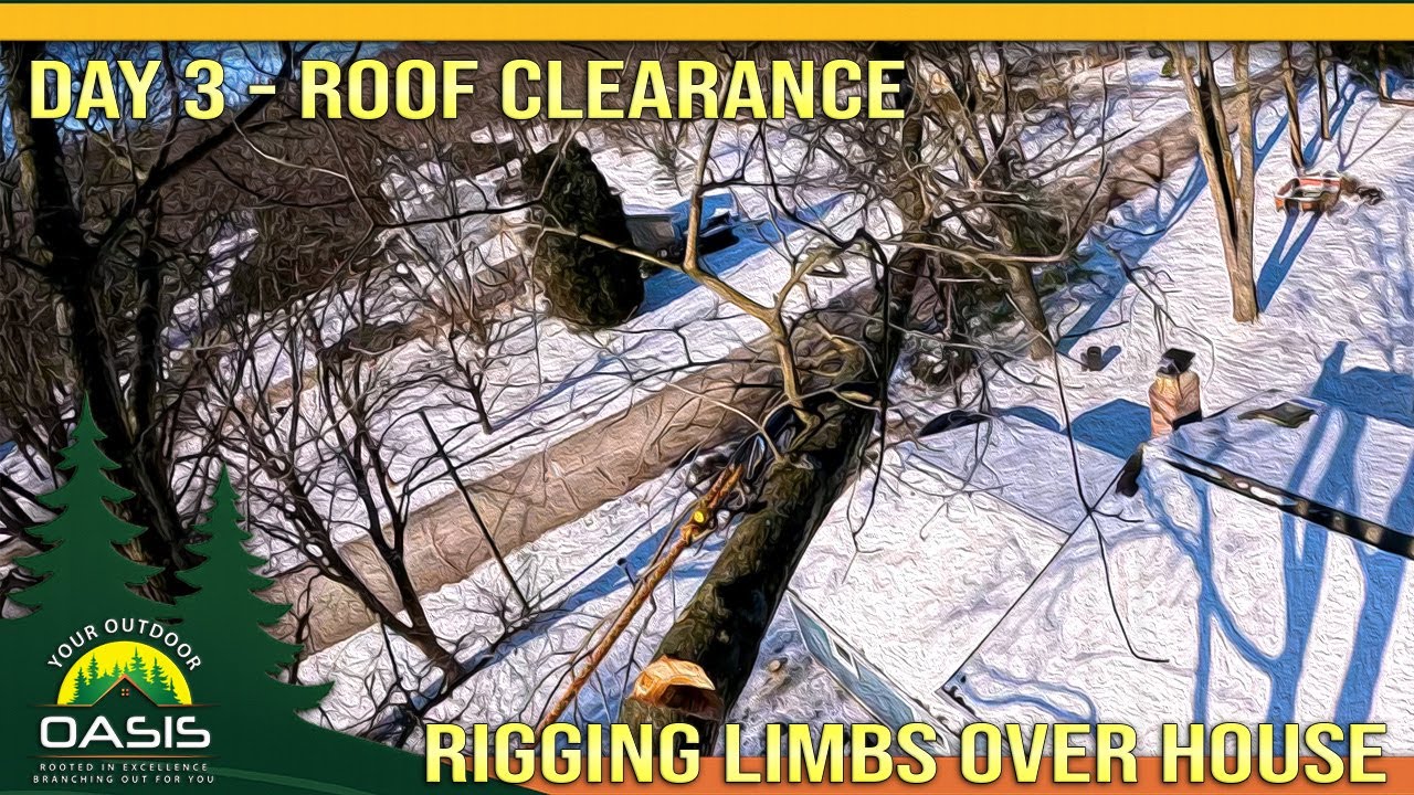 Подъем и установка дубовых веток на дом с новой обшивкой и водостоками — День 3 (Последний день)!