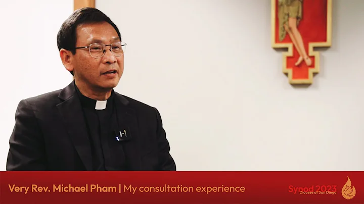 Very Rev. Michael Pham | My consultation experience