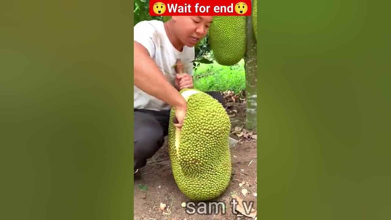 a-kaise-hote-hai-samtv-viral-tranding-youtubeshorts-shorts
