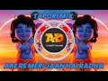 ARE RE MERI JAAN HAI RADHA (TAPORI MIX ) DJ ANIKET DIGRAS