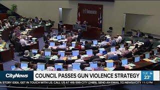 City council passes strategy to combat gun violence