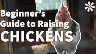 The Beginners Guide To Raising Chickens Course Overview