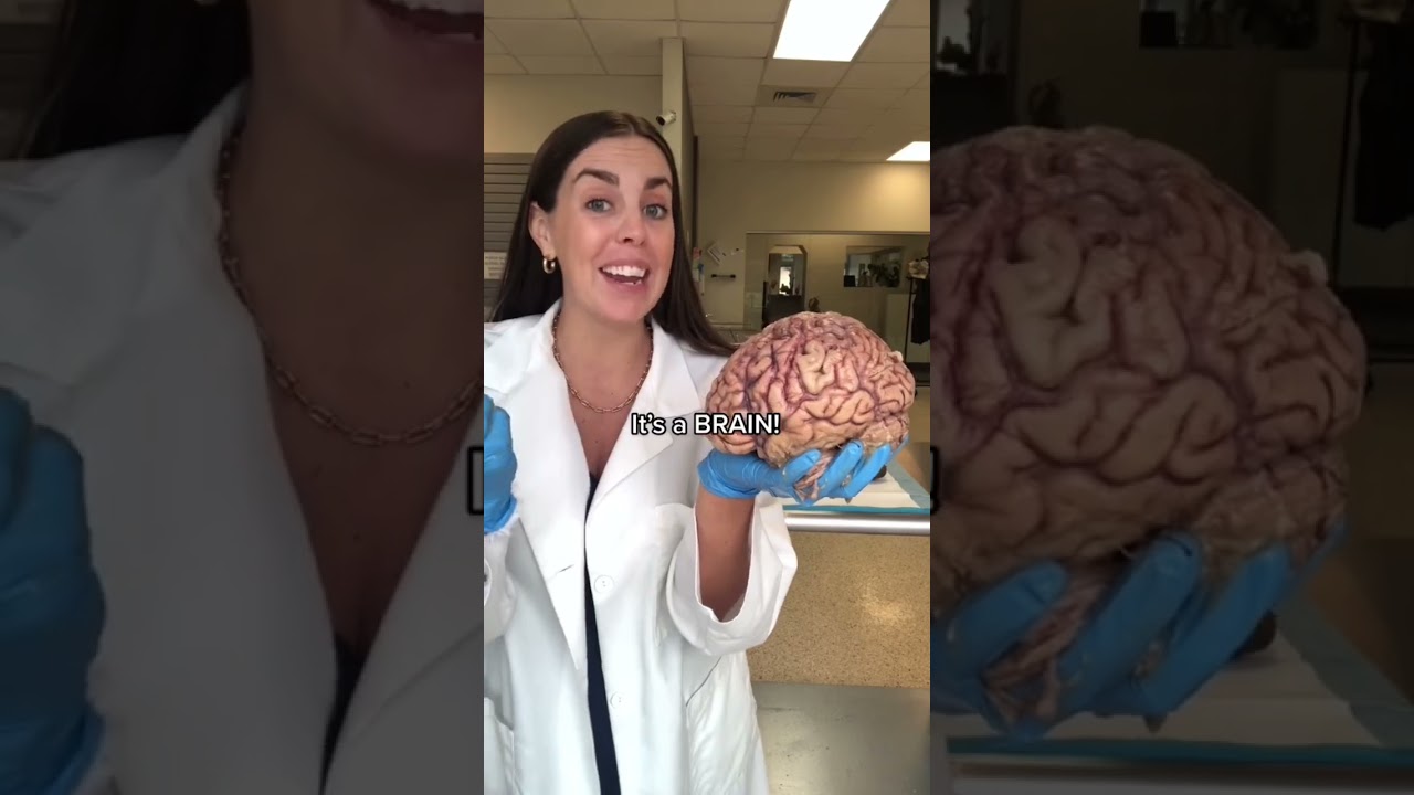How&rsquo;d you do? Comment your score! #anatomy #humanbody #science #scienceteacher #education #organs