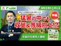 【水稲高温対策の切り札】技術士山下氏が送るFertigrain foliarによる品質、生育向上の理論と実践