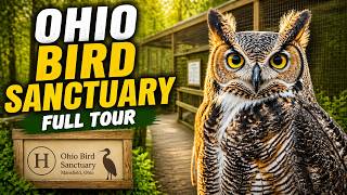 Ohio Bird Sanctuary Full Tour   Mansfield, Ohio