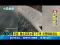 雙北天氣異常現象