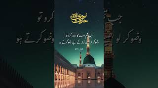 Sleep with WAZO 🌙 | Sunnah Before Sleeping | Hadith from Prophet Muhammad ﷺ
