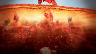 Tarceva MoA Animation Final 07 10 2011