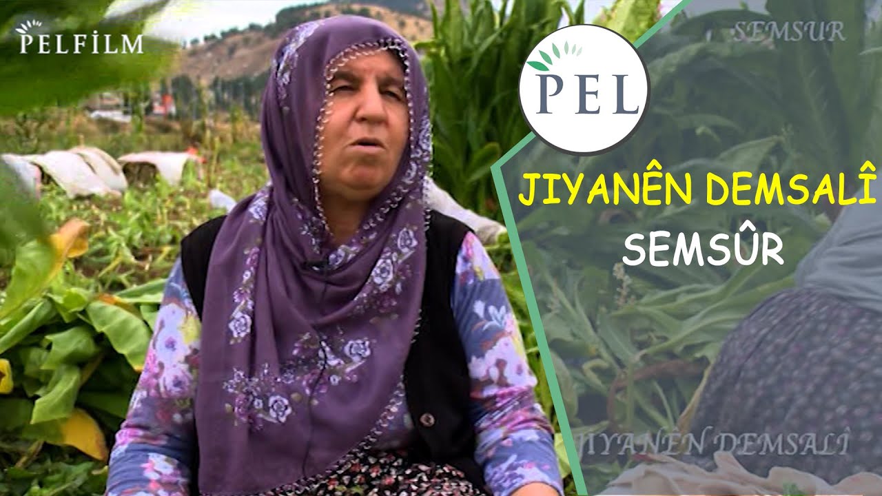 JIYANÊN DEMSALÎ - SEMSÛR