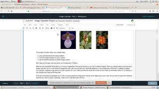 Create your Own Image Classifier - Deep Learning