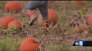 Here are ways to enjoy the last bit of the fall season