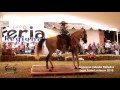 Concurso del caballo bailador Expo Luvianos 2016 parte. 2