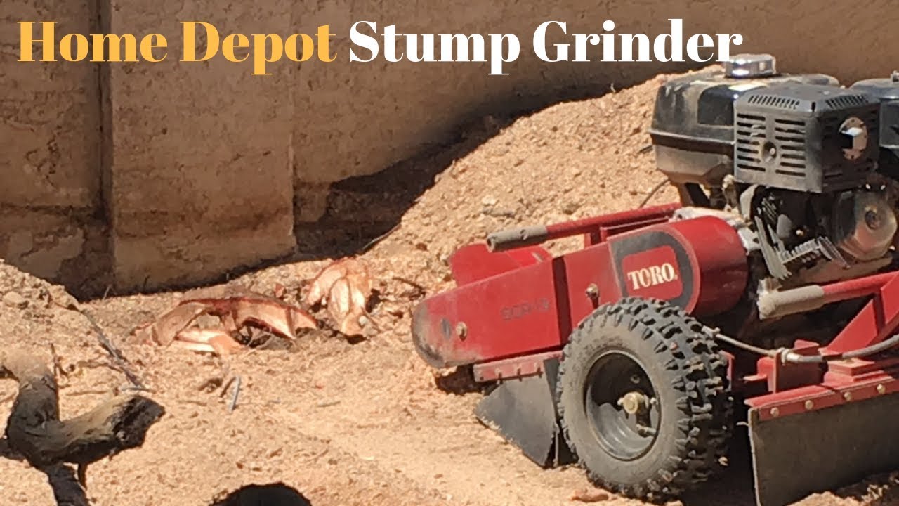How to Remove A Tree Stump - YouTube