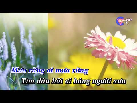 Mưa Rừng 