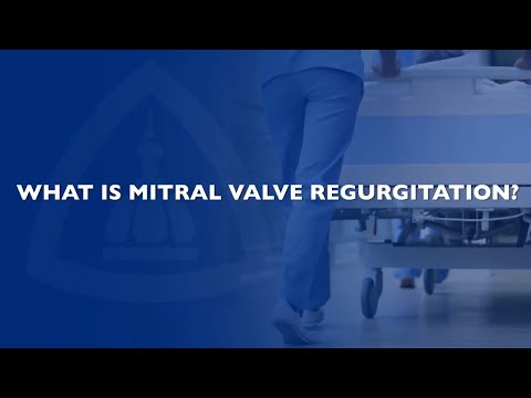 Frequently Asked Questions about the Mitral Valve