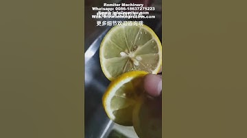 Automatic Lemon Chips Direction Fixed Cutting Slicing Machine
