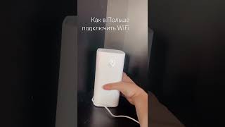 Польща как сделать в квартире вайфай ??? #рекомендации #wifi