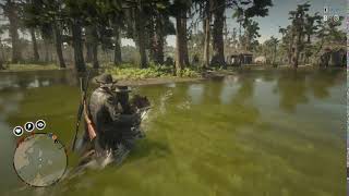 Red Dead Redemption 2 dumbsh*t 259