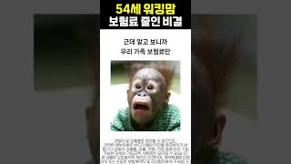 50대보험 보험료 줄이는 방법