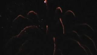 FIREWORKS Display at Popes Meadow LUTON 2012