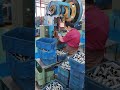 Industrial Production Line | Smart Manufacturing Process Overview