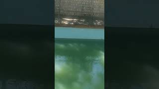 Konya Meram Bağları 💚 Resimi