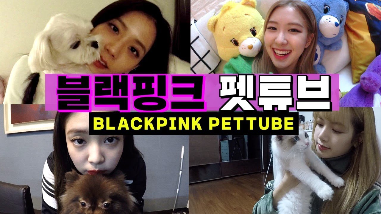 [가로채널|블랙핑크|브이로그] (※100%리얼) 블랙핑크 펫튜브!! 블핑이들의 신비한 동물사전!! 댕댕이부터 냥이, 금붕어까지...???? 블핑이들의 숨겨진 동물 사랑 대공개