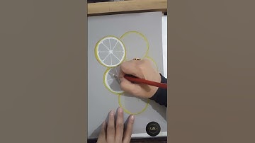 Color pencil drawing Lemon slices painting tutorial for beginners paint with N ARt