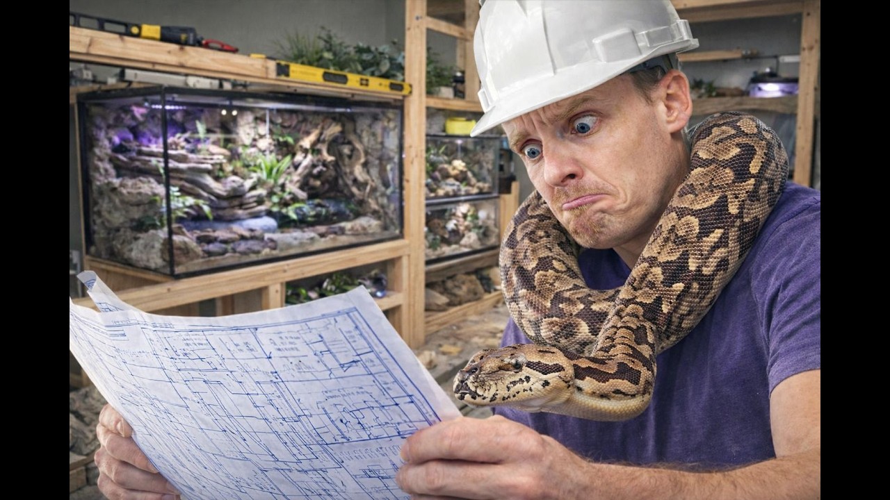 Make it Yourself! Custom Reptile Habitats!