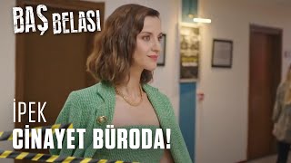 Cinayet Büro&#39;nun yeni psikoloğu! - Baş Belası