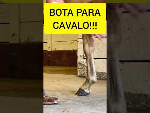 BOTA PARA CAVALO!!!!! compre aqui https://amzn.to/3n4Petc