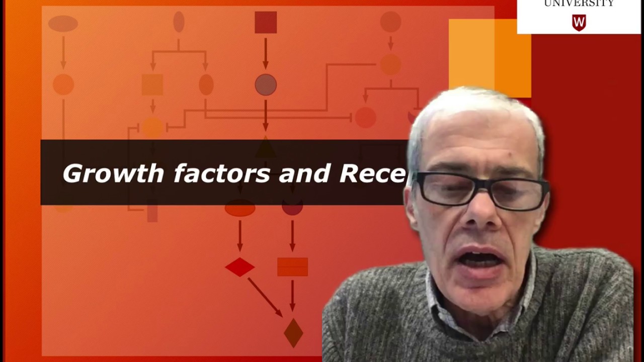 4.1 Cancer is a disease of uncontrolled cell proliferation