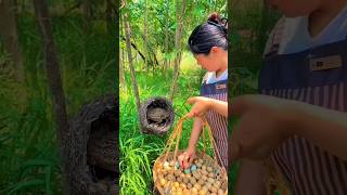 Hidden Nest 🪺 Discovery Fresh Mountain Eggs Village Farm Life #chicken #villagelife #farming