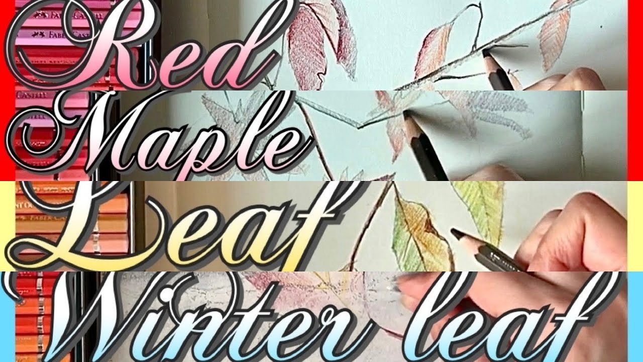 🍂 How to draw autumn leaves | colour pencil drawing sketch ASMR | easy ...
