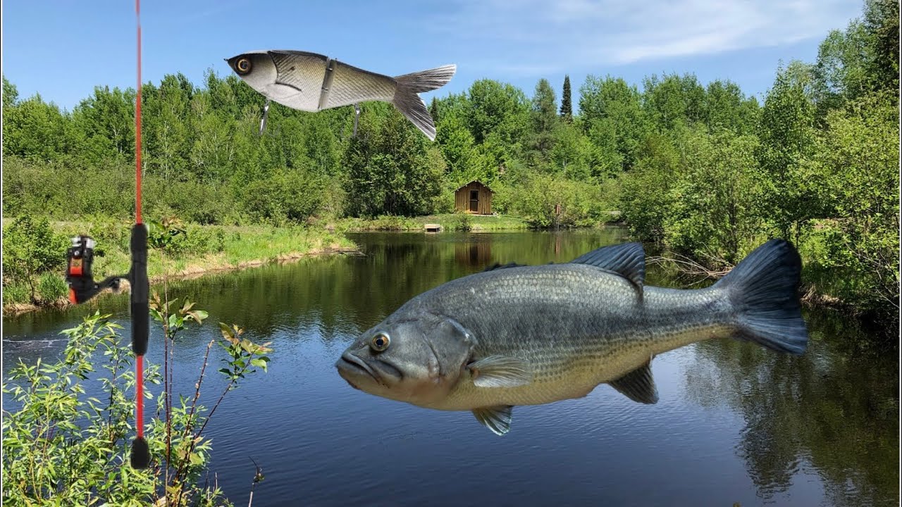 Fishing for big bass(tank caught!!)