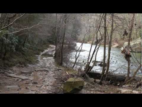 Big South Fork Management?.HD - Oneida & Western