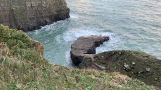 A Walk to Devil's Bridge - HD 1080p
