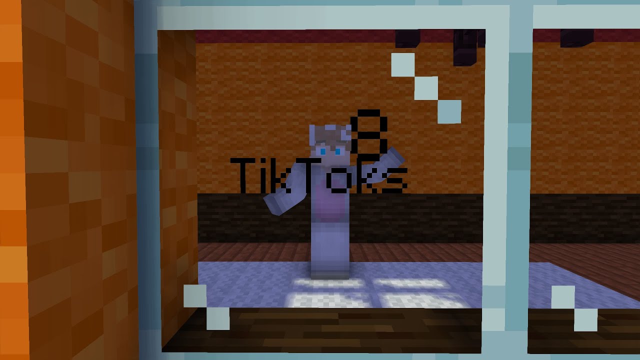 Ich teste 8 virale Minecraft TikToks! | Geht's oder geht's nicht #1 | SiLoHB