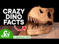 5 Things You Should Know About Dinosaurs