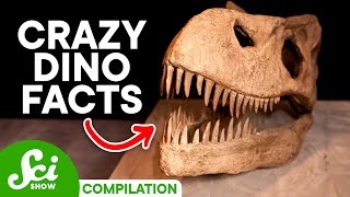 5 Things You Should Know About Dinosaurs