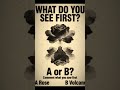 Rose or Volcano Test: Beauty vs Power Perception Personality Reveal