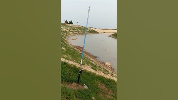 Cần câu máy tự động giật - automatic fishing rod 2m câu cá đến 30kg #fishing #shorts #10